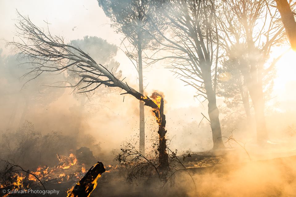 Kaapse brande in beeld