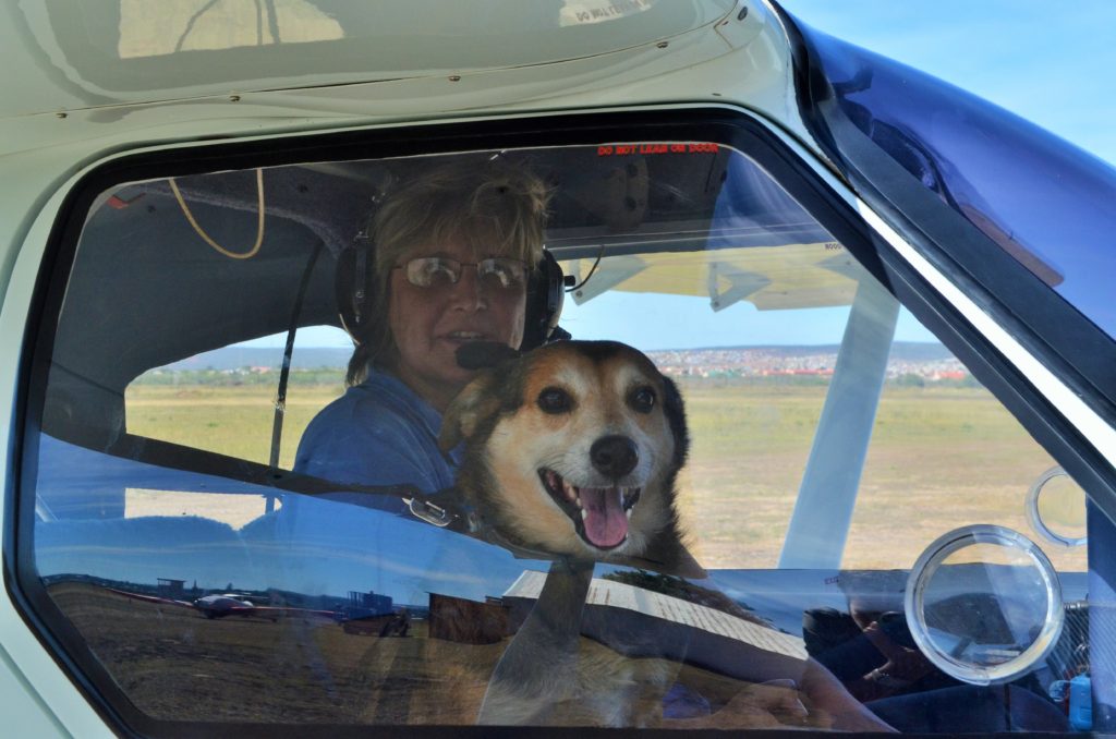 Rolex, die Baai se vlieënde hond