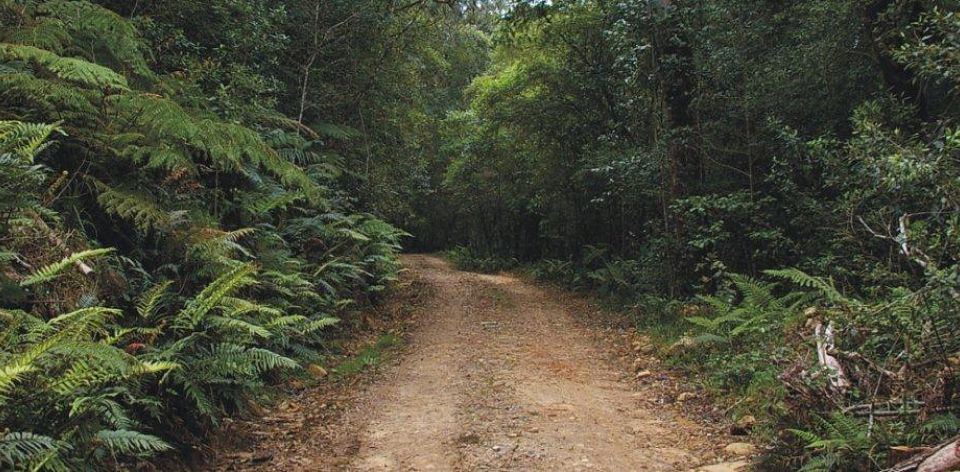 Nuwe vervolgverhaal Heuningbos speel af in Knysna-gebied