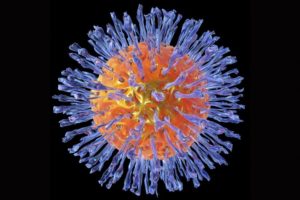 Herpesvirus-tegning-NDLA-824x549