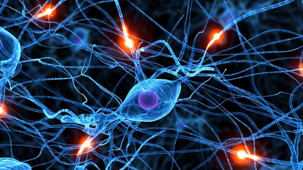 Wat is die impak van selfone op die ontwikkeling van die brein?