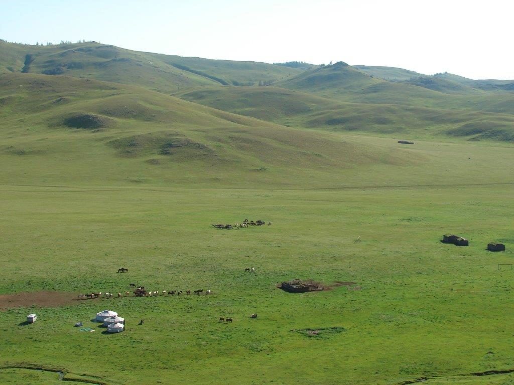 Langste perde-uithourit is in Mongolië