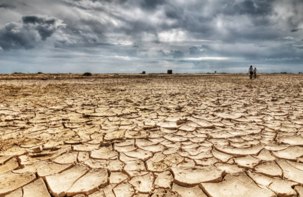 Die gesig van droogte is wreed