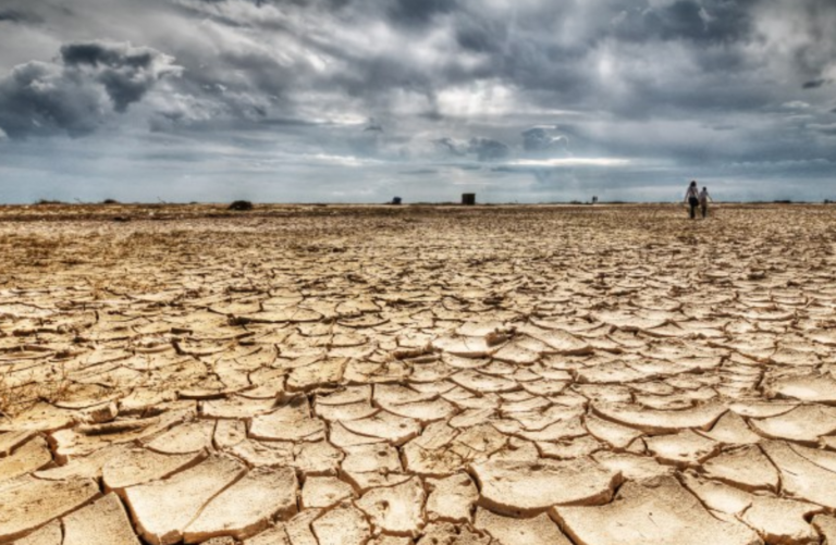 Droogte in Noord-Kaap Archives - RSGplus