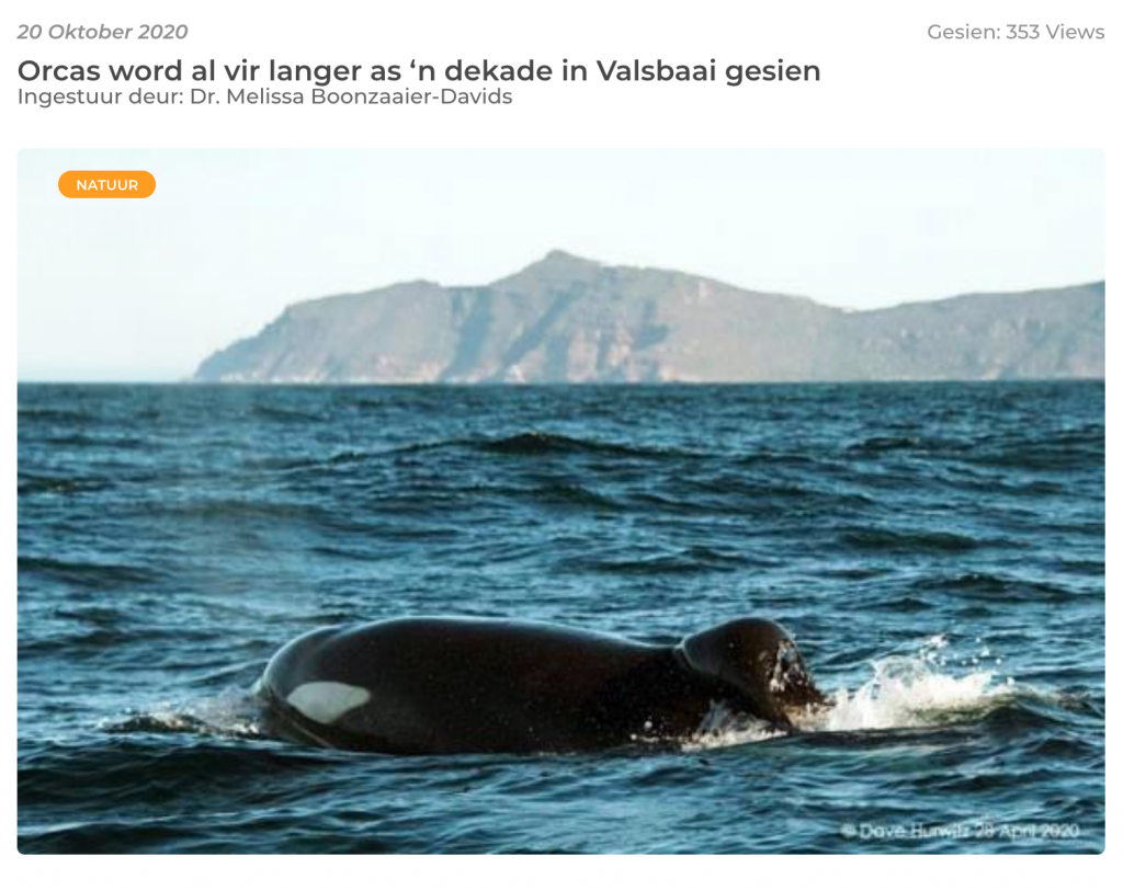 Hoe jag walvisse soos Orcas in Valsbaai?