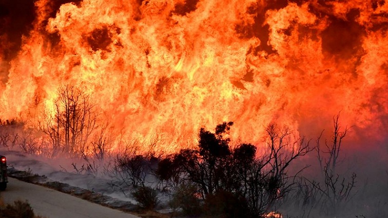 Bedelaars in winkelsentrums; aanspreeklikheid as plaaswerker brand stig…