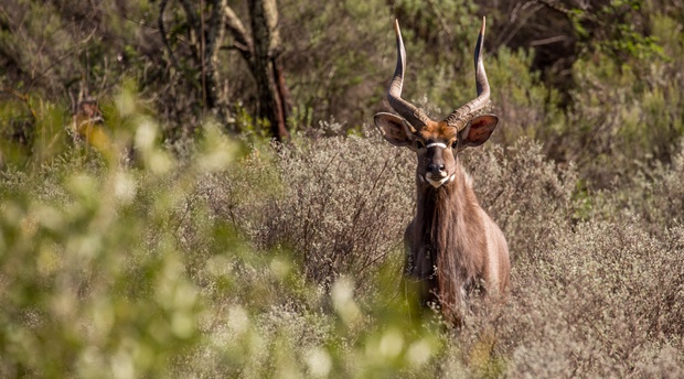 Eiendomsbelasting op wildsplase, ouetehuise, woonstelle en kommunes kan drasties verhoog