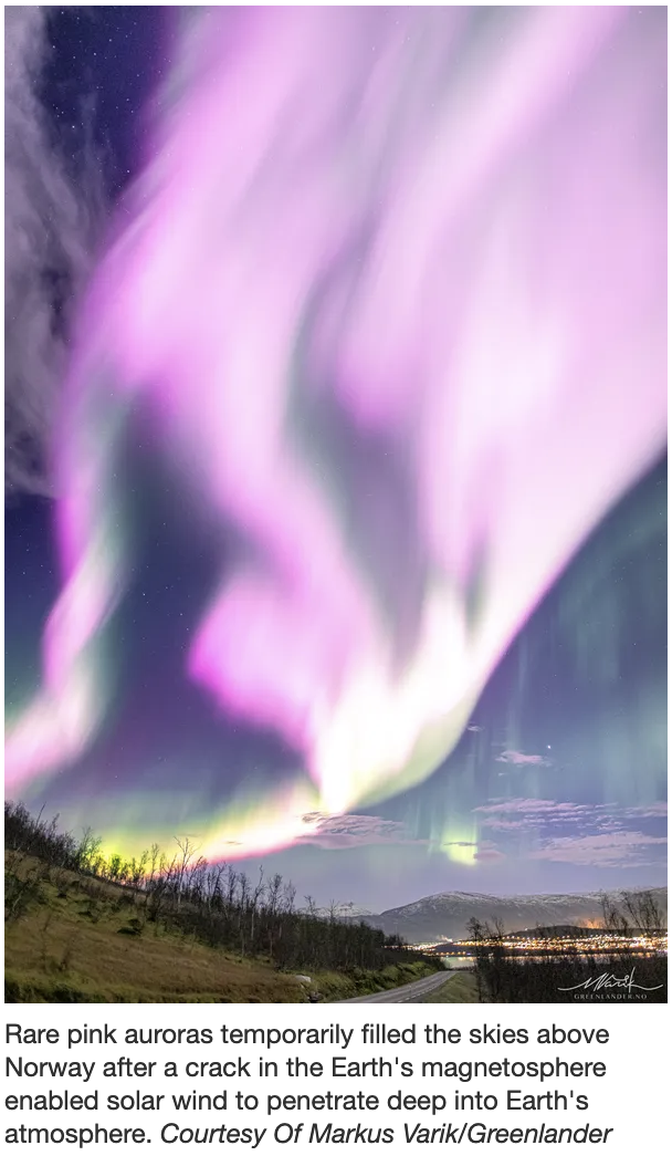 Hoe vorm pienk auroras?