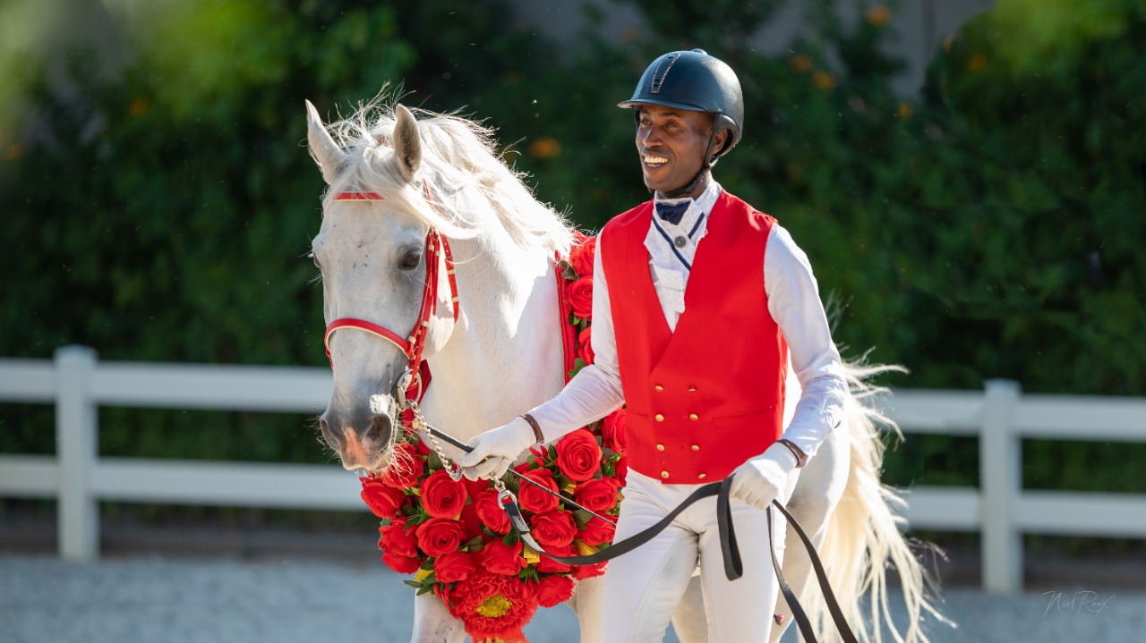 Luister weer: Lipizzaners – Op die agterpoot