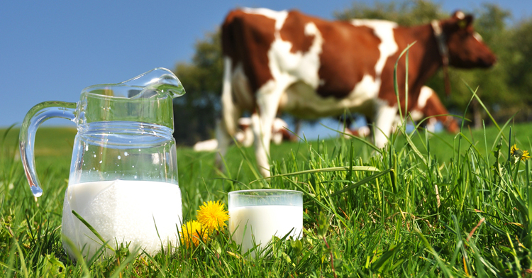 Mag ongepasteuriseerde melk nog in SA verkoop word?